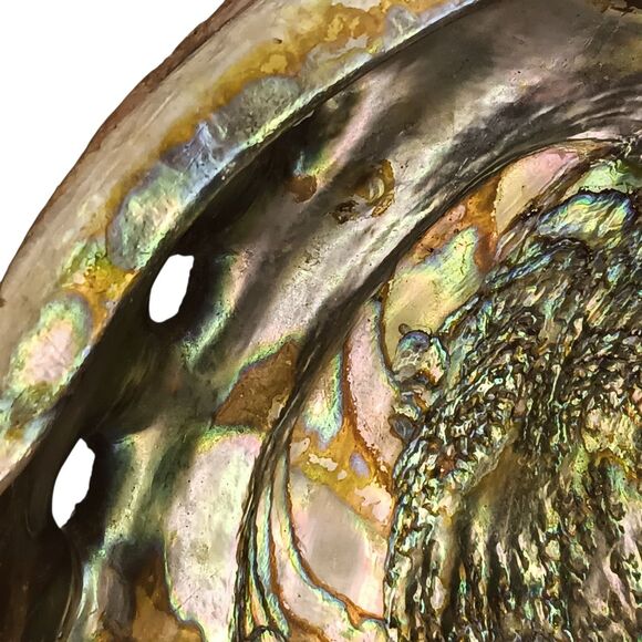 Vintage Large Abalone Shell Seashell Shiny Green Blue Yellow Pink Silver 8"x6" - Picture 4 of 12